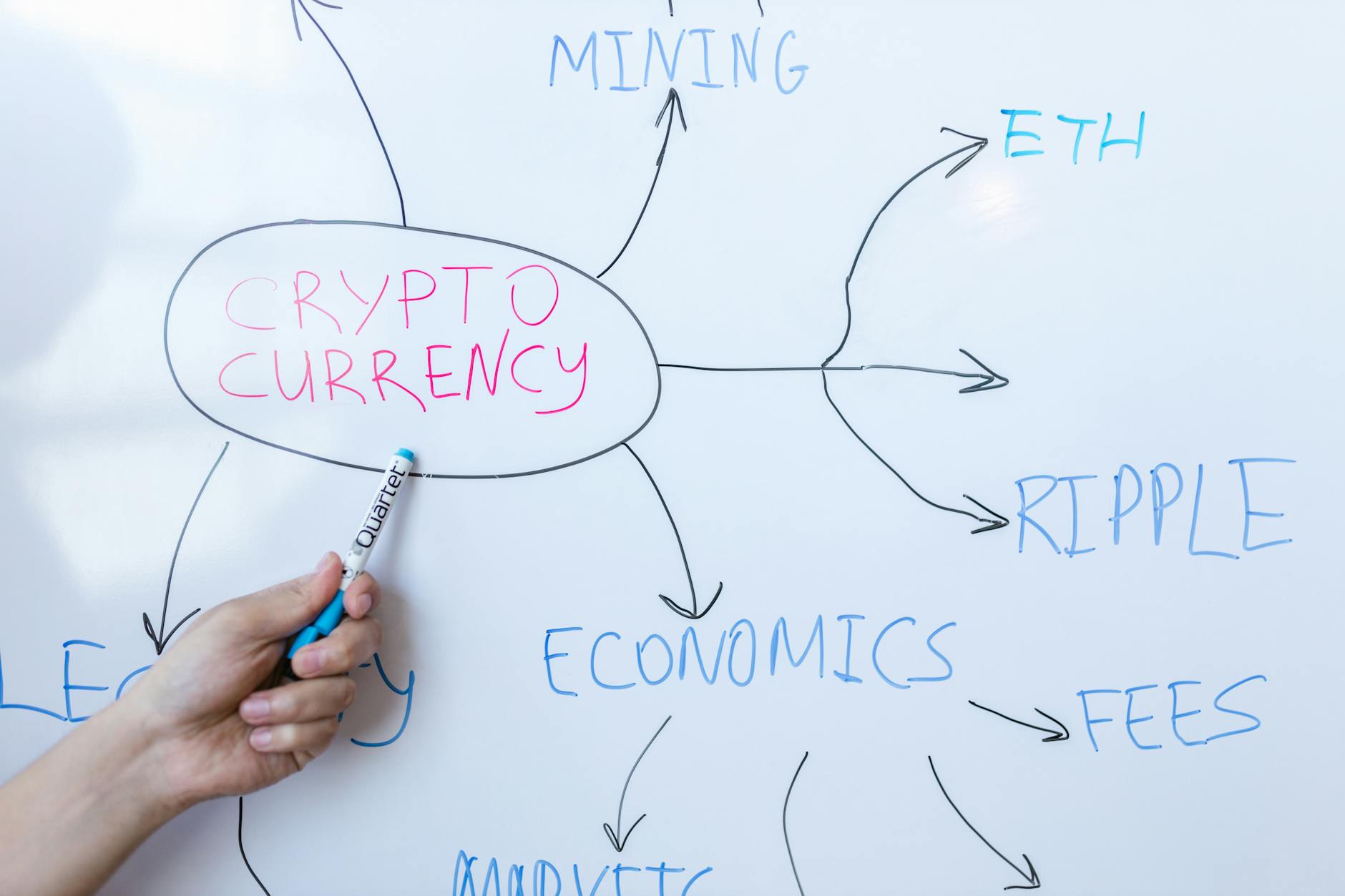 OKX Card EEA: How It Works, Fees & Rewards in 2026 | Photo by RDNE Stock project on Pexels